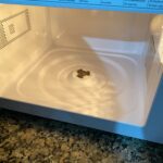 SteamEase: Kitchen Mama Microwave Cleaner photo review