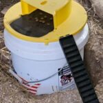 MultiCatch Mouse Trap: Humane & Lethal Mice Solution photo review